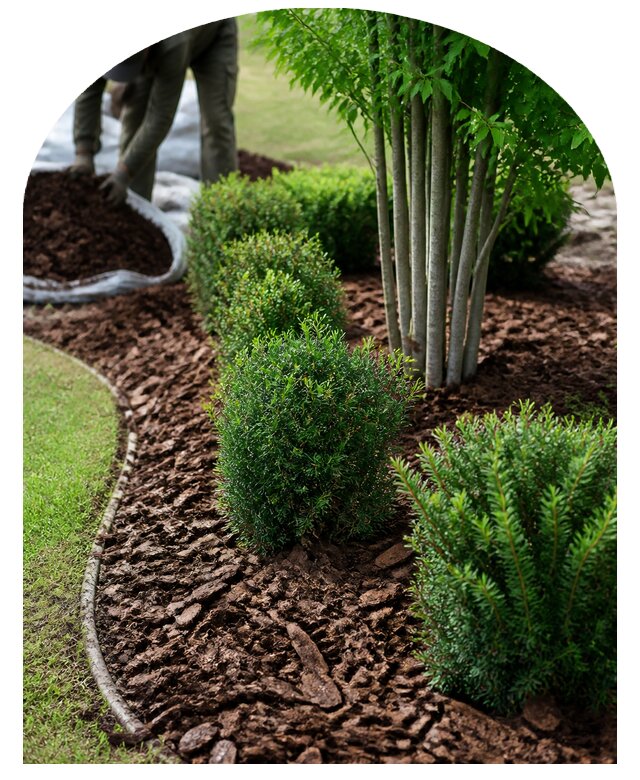 Мульчирование посадок в Каменке по цене от 6575 р. | Метпроект-Кам